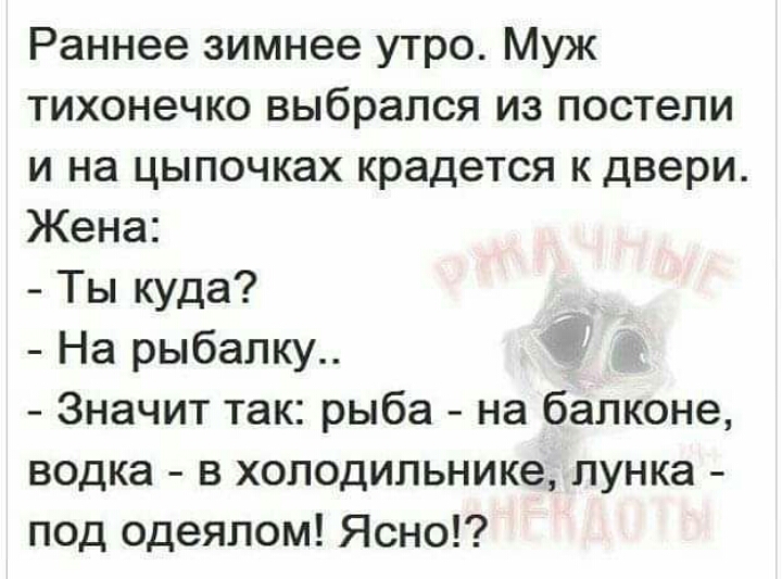 Раннее зимнее утро Муж тихонечко выбрался из постели и на цыпочках крадется к двери Жена Ты куда _ На рыбалку Значит так рыба на балконе водка в холодильнике лунка под одеялом Ясно