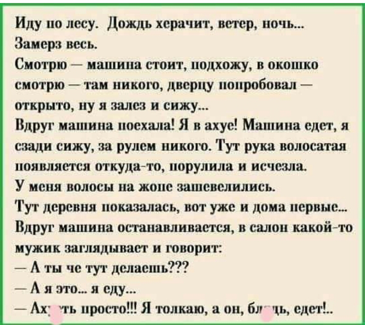 Анекдоты Про Лесных Зверей