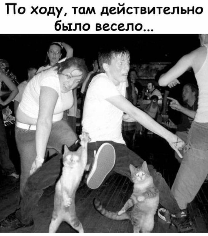 По ходу там действительно было весело