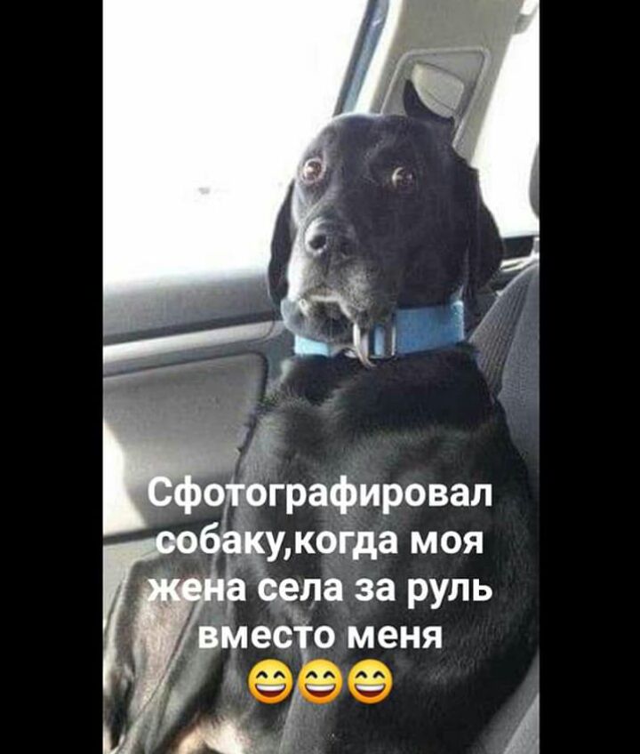 укода моя Ь еепа за руль 1 г Мейо меня 0 х х