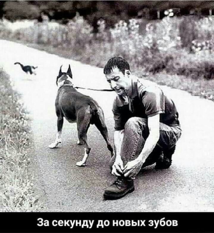 За секунду до новых зубов