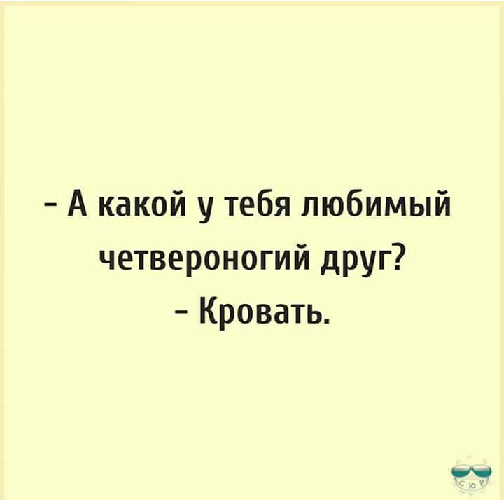 А какой у тебя любимый четвероногий друг Кровать