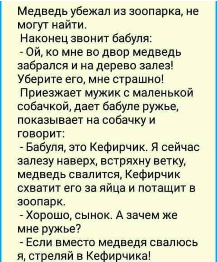 Медведь убежал из зоопарка не могут найти Наконец звонит бабуля Ой ко мне во двор медведь забрался и на дерево залез Уберите его мне страшно Приезжает мужик с маленькой собачкой дает бабуле ружье показывает на собачку и говорит Бабуля зто Кефирчик Я сейчас залезу наверх встряхну ветку медведь свалится Кефирчик схватит его за яйца и потащит в зоопарк Хорошо сынок А зачем же мне ружье Если вместо ме