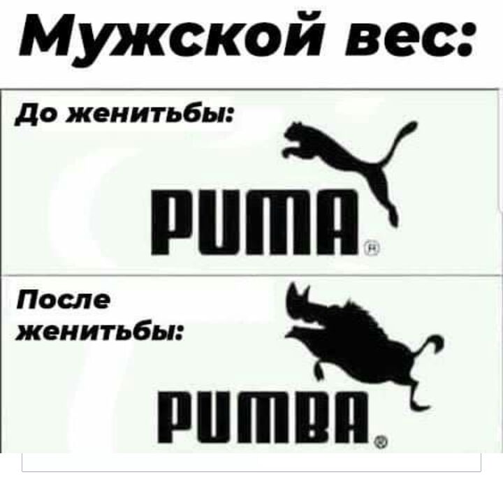 Мужской вес до женитьбы После женитьбы пишиш