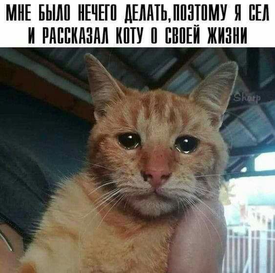 МНЕ БЫЛИ ИЕЧЕШ дЕИИТЬИ13_ШМУ И Ш И РАППИИЗМ ИЩУ ПВПЕИ ЖИЗНИ