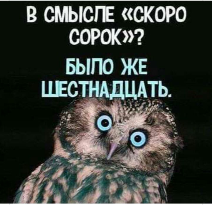 В СЬЫСГЕ СКОРО СОРОК