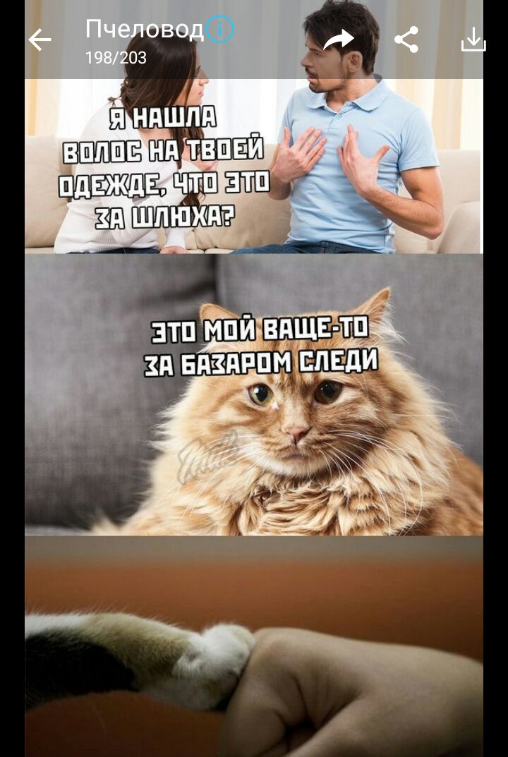 Ч 33 шлюхи