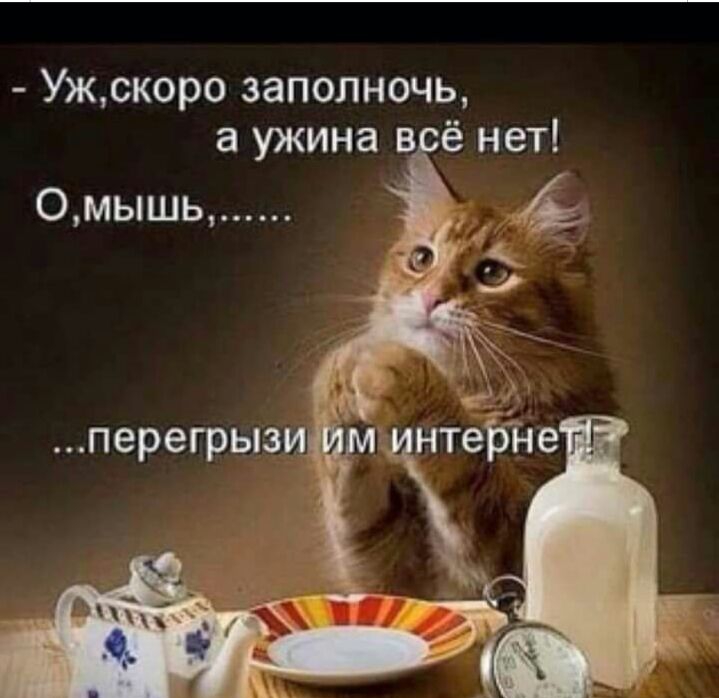 Ужскоро заполночь а ужина в ё нет