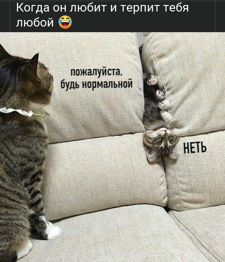 терпит тебя любой пожалуйста будь нормальной