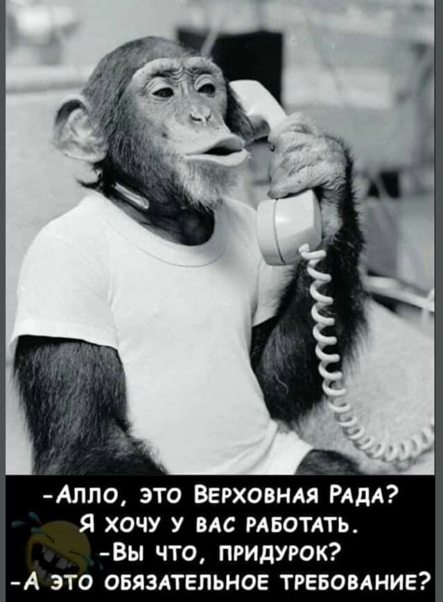 АПЛО ЭТО ВЕРХОВНАЯ РАДА Я ХОЧУ У ВАС РАБОТАТЬ ВЫ ЧТО ПРИДУРОК А ЭТО ОБЯЗАТЕЛЬНОЕ ТРЕБОВАНИЕ