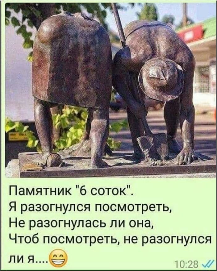 Памятник 6 соток Я разогнулся посмотреть Не разогнулась ли она Чтоб посмотреть не разогнулся ЛИ Я ид 1 1028