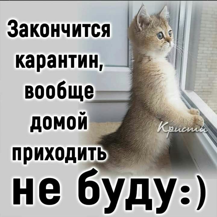 Закончится і_д карантин