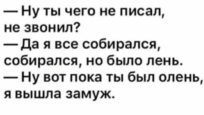 Ну ты чего не писал не звонил Да я все собирался собирался но было лень Ну вот пока ты был олень я вышла замуж