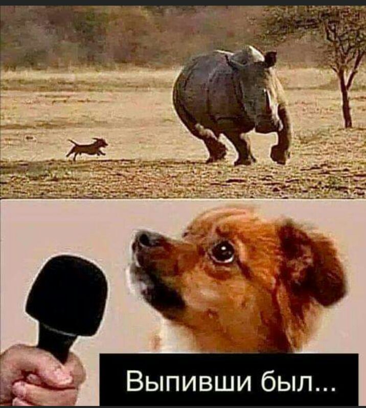 Выпивши был