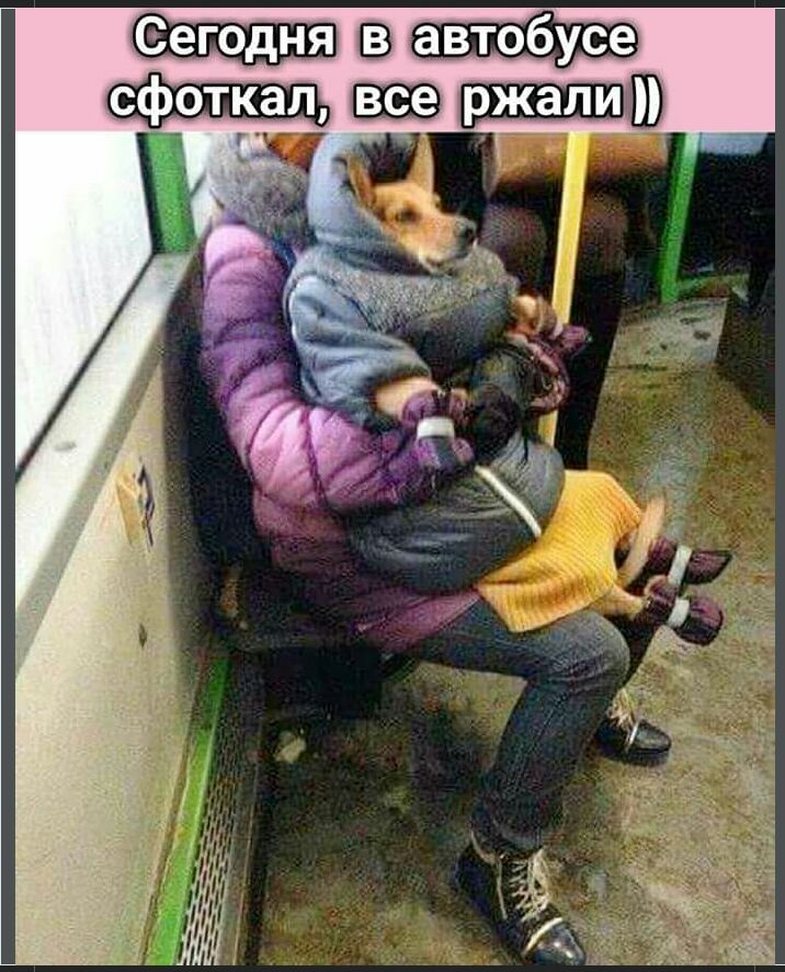 а