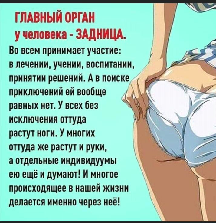 Во всем принимает участие в лечении учении воспитании принятии Решений А в поиске приключений ей вообще равных нет У всех без ад исключения оттуда растут ноги У многих оттуда же растут и руки а отдельные индивидуумы Й ею ещё и думают И многое происходящее в нашей жизни делается именно через неё