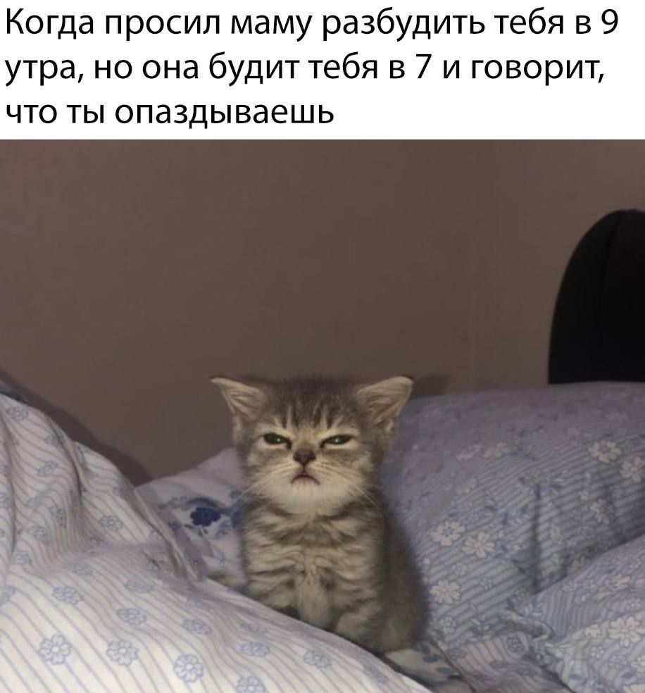 Когда просил маму разбудить тебя в 9 утра но она будит тебя в 7 и говорит что ты опаздываешь