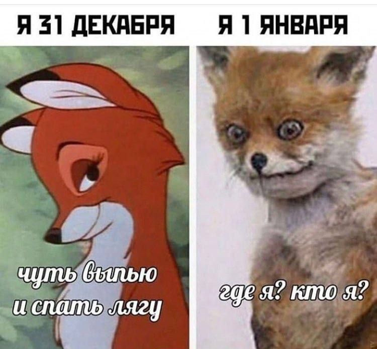 Я 31 дЕКдБРЯ Я 1 ЯНВАРЯ