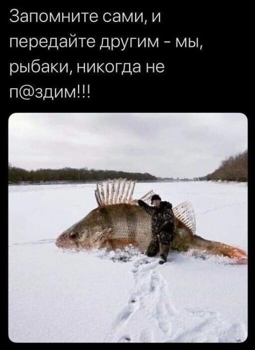 Запомните сами и передайте другим мы рыбаки никогда не пздим
