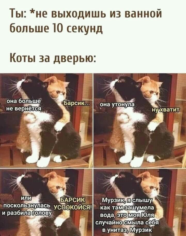 Ты не выходишь из ванной больше 10 секунд Коты за дверью она больше не вернется _ Ш Бдрсик поскопззнупась Усіт ЮКОЙСЯ и разбипа голову Мурзк Ьпышу как там зашумепа вода это моя Юля случайно смыла СЁЁ в унитаз Мурзик