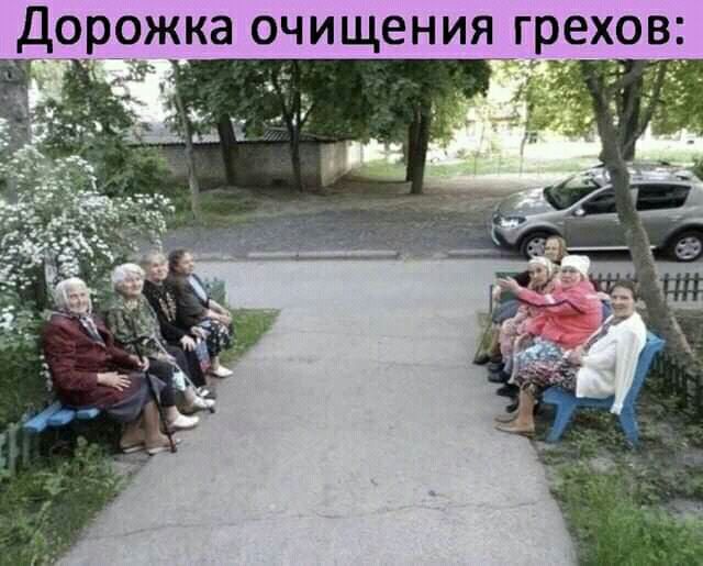 дорожка ОЧИЩЕНИЯ ГРВХОВ