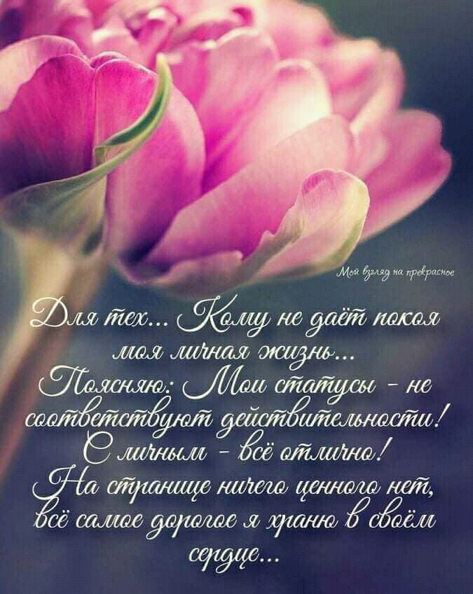 чт _ _ Ж ЩЛЁЖСЖ