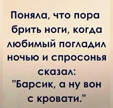 Понямп что пора брить ноги когда АЮбИМЫЙ погАсАИА ночью и спросонья сказаА Барсик а ну вон кровати