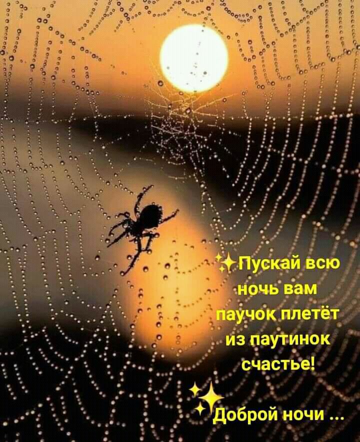 чаСТЬе утинок и ночи 313 й