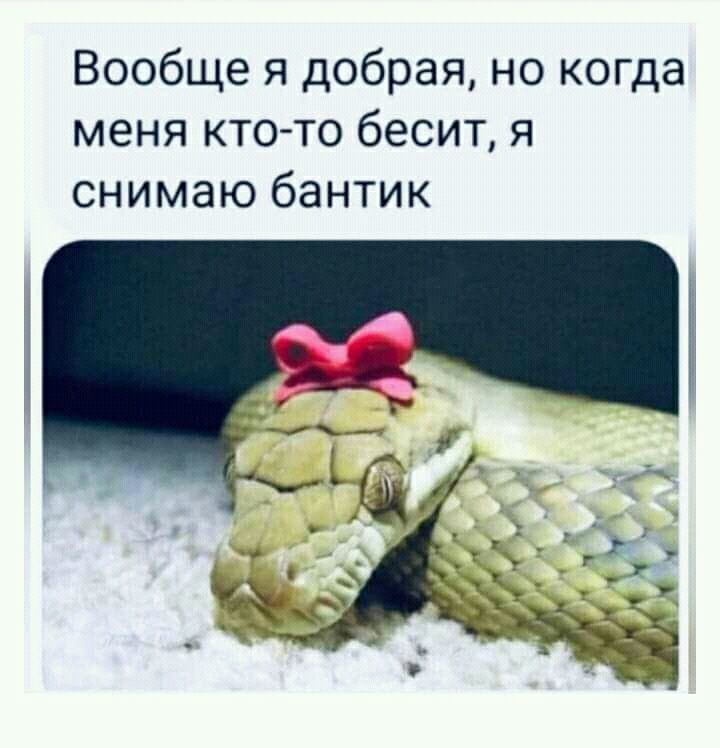 Вообще я добрая но когда меня кто то бесит я снимаю бантик
