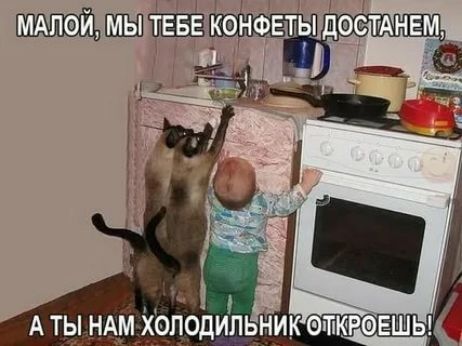 коновтыдесмнвм _ д А тыщм холодильник еткю