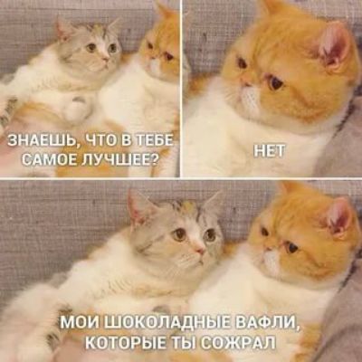 Ридетвтосте оабнньь в