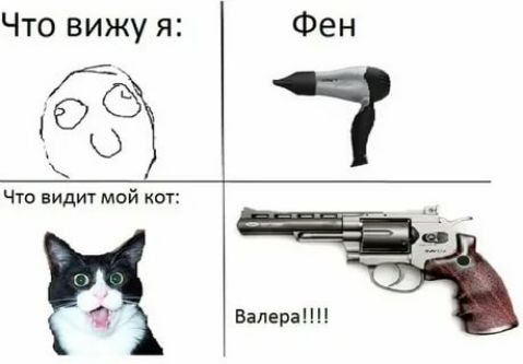 Что вижу я Фен Чтв видит мой Ц Е ВалераНН
