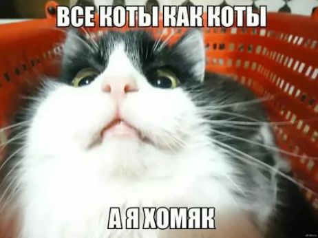 вёъйотыттйотні ру