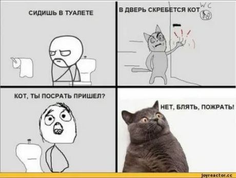 спишь ищете влпвь прийти ищё _