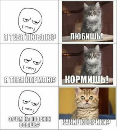 Ш г гг КПРМИ д ШЩГАЛШРШП ЫШШЬ