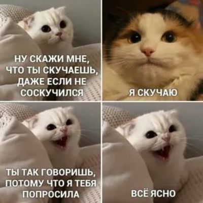 скджи МНЕ ОТЫ ВКУЧАЕШЬ ТАК ГОВОРИШЬ МУ ЧТО Я ПРосим всё ясно
