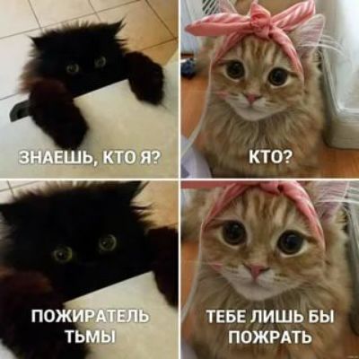 12 ТЕБЕ ЛИШЬ БЫ ПОЖРАТЬ ПО
