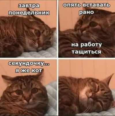 на рабыу та щи1ься
