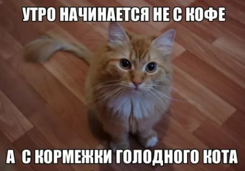 то НПЧИНАЕЮП НЕ иофъ А ВЬ О А 8 ММВБ голодного иотп