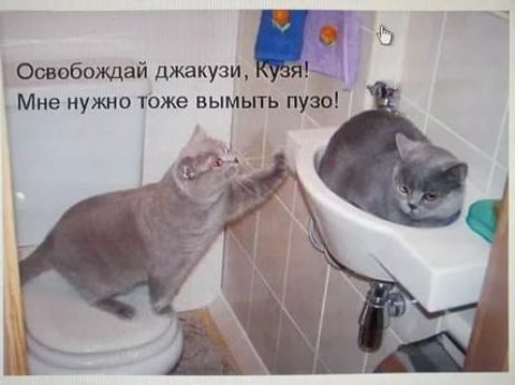 Э Ооаабождай джакузи _ Мне нужно тоже вымьпь пузо