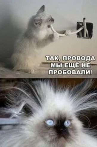 Ё гщп