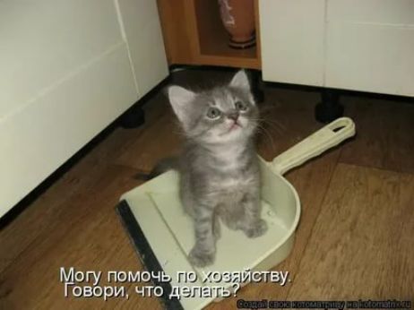 огу помоч оворщ что