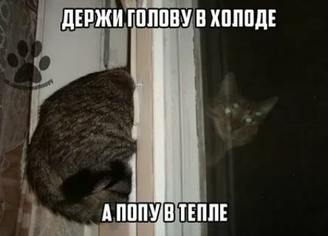 Ыа й ув холоде