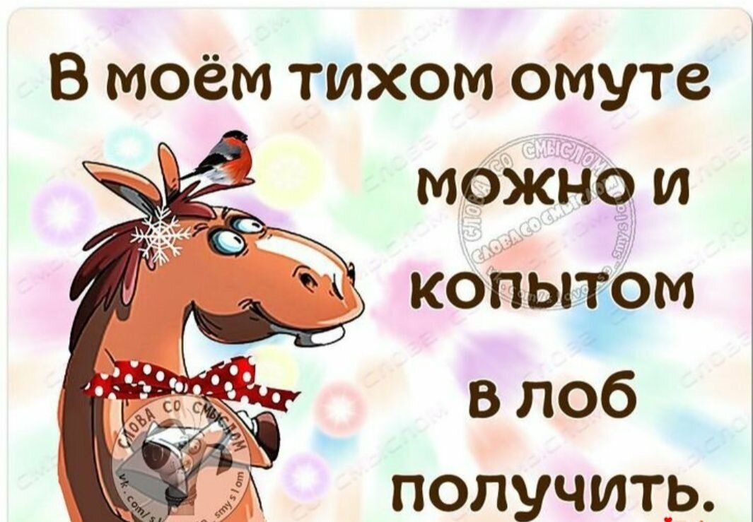 В моём тихом омуте можно и койыгврм влоб получить