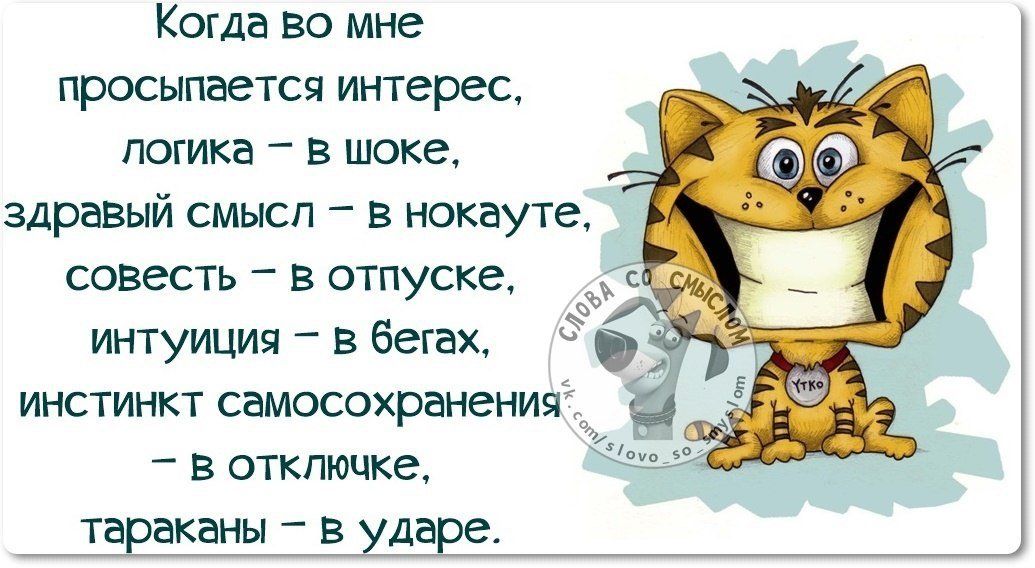 Когда во мне просыпается интерес погика в шоке здравый смысл в нокауте совесть в отпуске интуиция в бегах _ в отключке тараканы в ударе