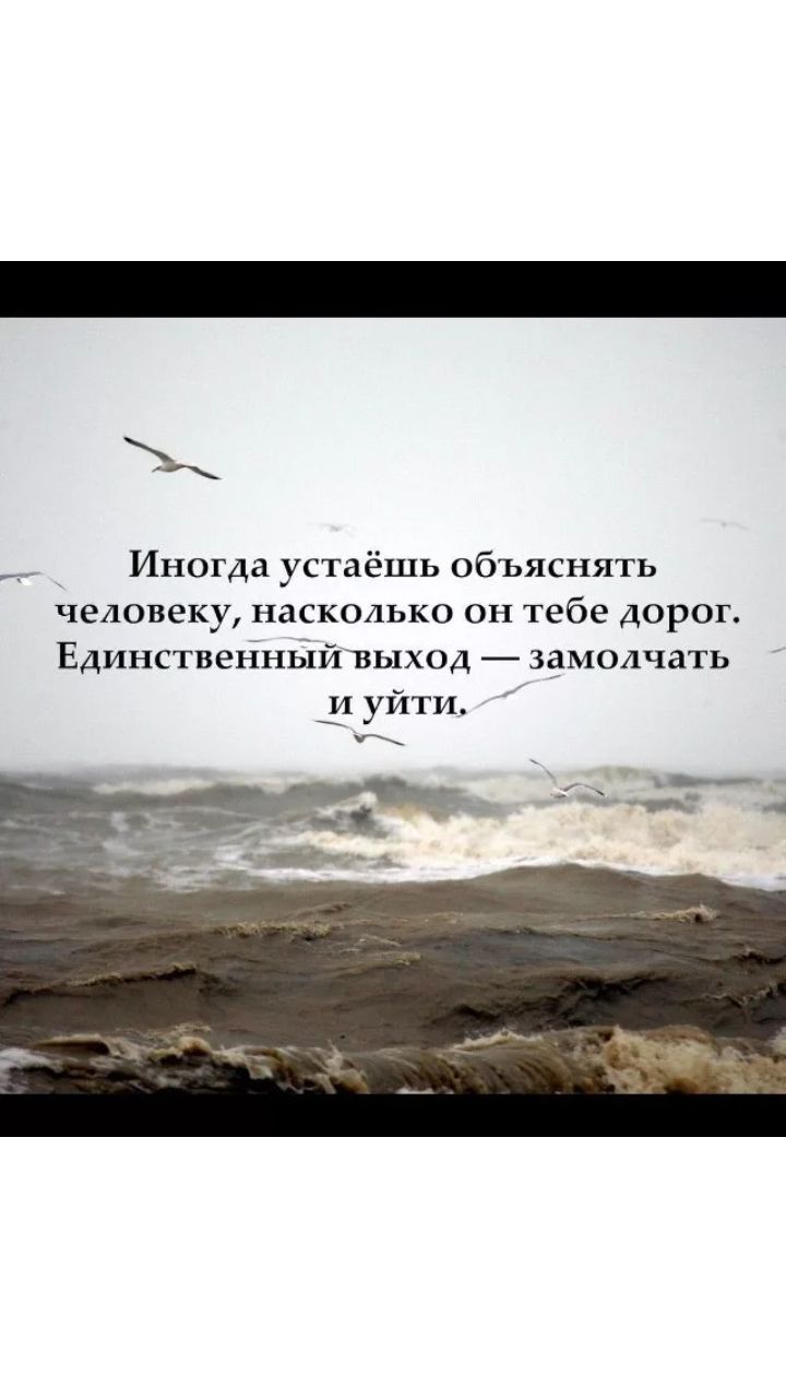 _ Иногда устаёшь объяснять человеку насколько он тебе дорог  Единствеъіньійъыход здмолчать и уйти И - выпуск №1169344