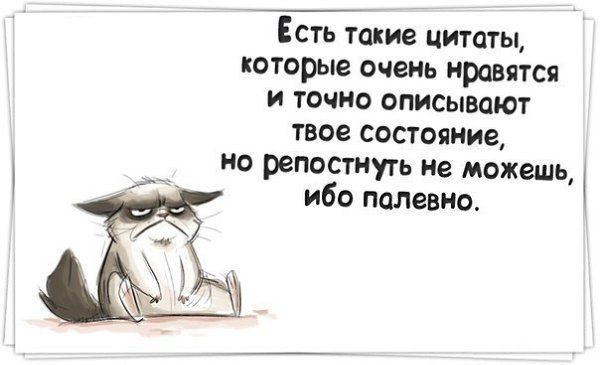 Есть такие цитаты которые очень нравятся и точно описывают твое состояние но репостмуть не можешь ибо палевно