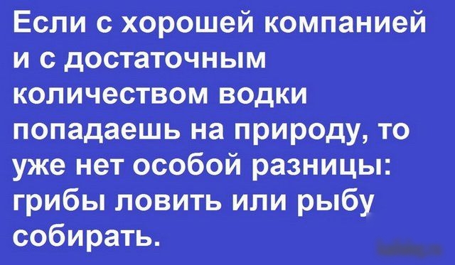 Если с хорошей компанией и с достаточным количеством водки попадаешь на природу то уже нет особой разницы грибы ловить или рыбу собирать