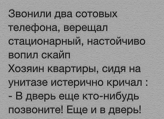 Звонили два сотовых телефона верещал стационарный настойчиво вопил скайп Хозяин квартиры сидя на унитазе истерично кричал В дверь еще ктонибудь позвоните Еще и в дверь