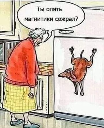 Ты опять мвгнитики сожрал